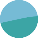 Specialized Expertise icon